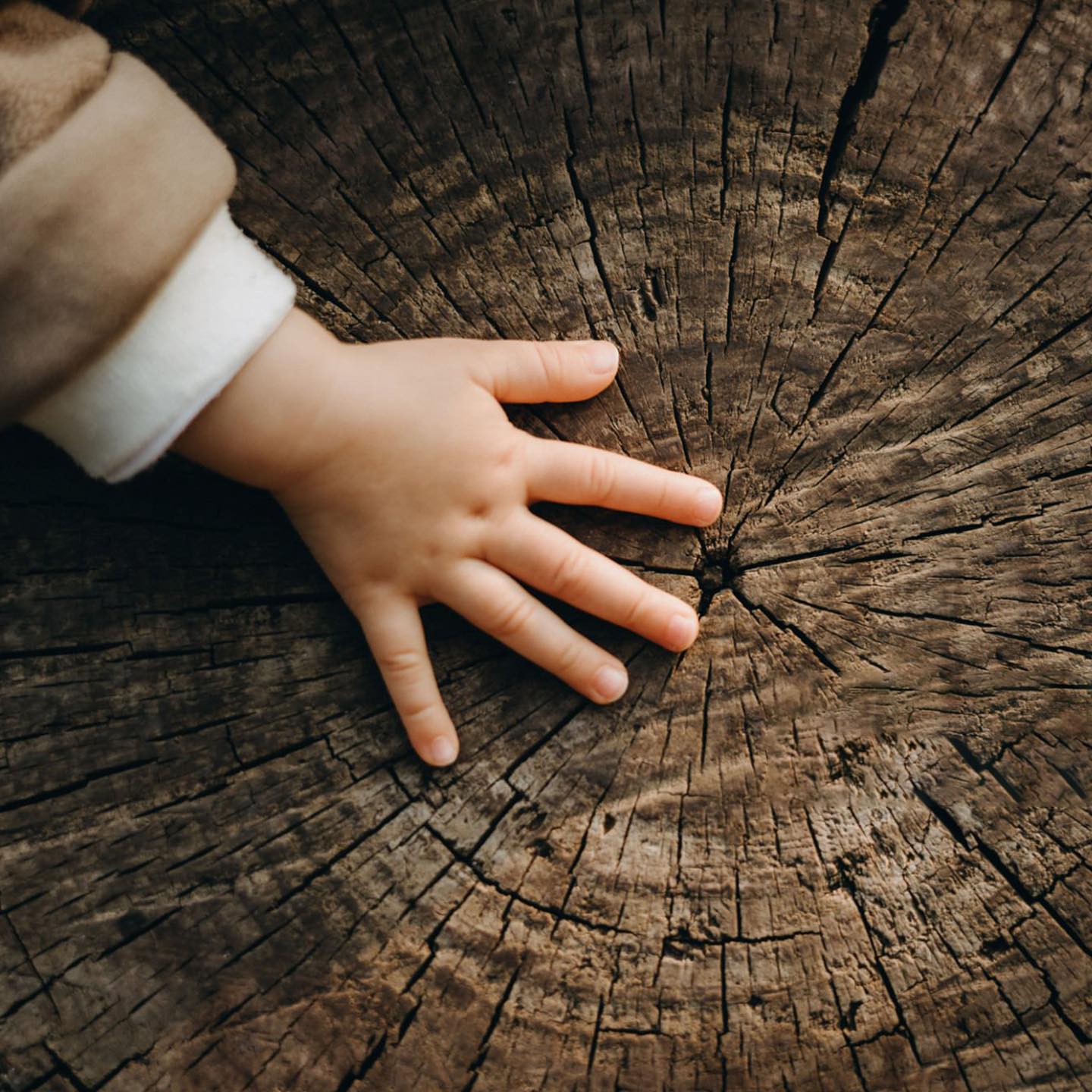 Why Your Business Needs to Shift to Sustainable Packaging