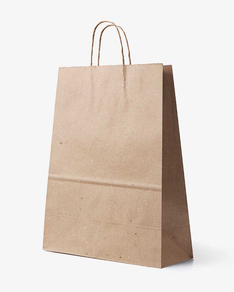 Recyclable Paper Bags, Natural Kraft Medium (100 pcs)