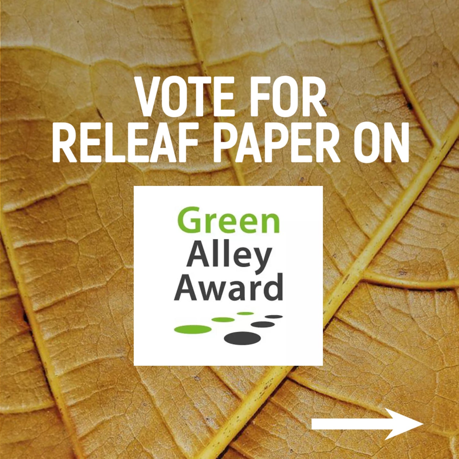 We Need Your Vote: Releaf Paper is one of the top 20 finalists in Green Alley Award 2024!