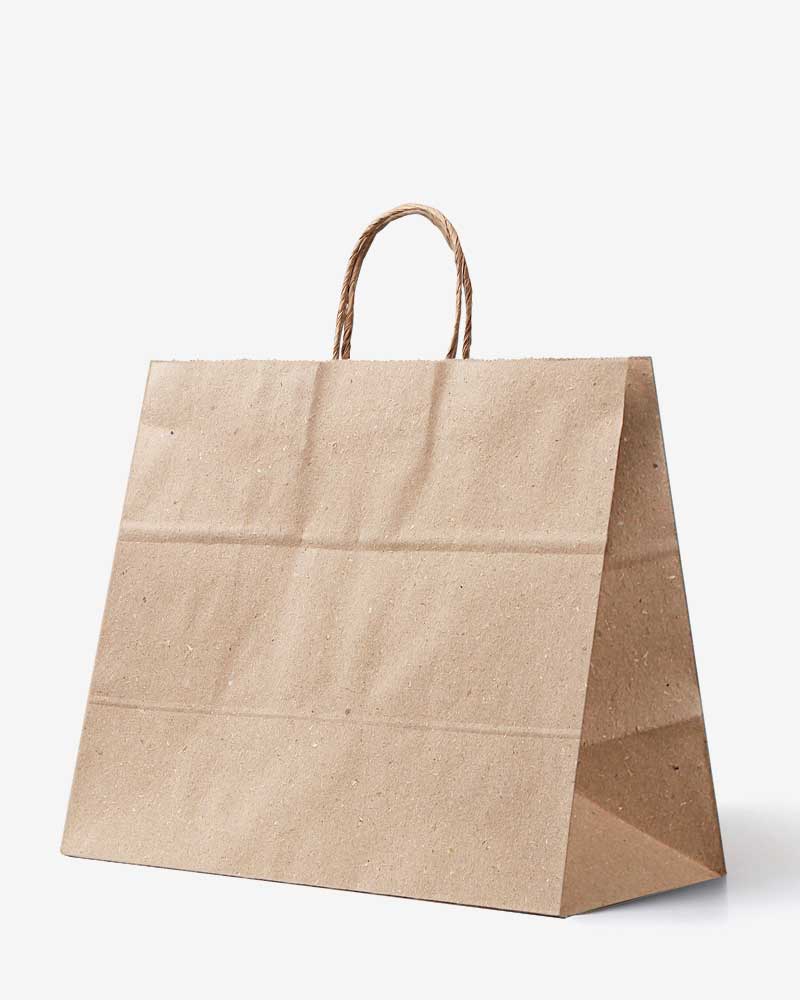 Releaf Paper Bag, Wide 420(W)х320(H)x180(B) mm, No print (100 pcs)