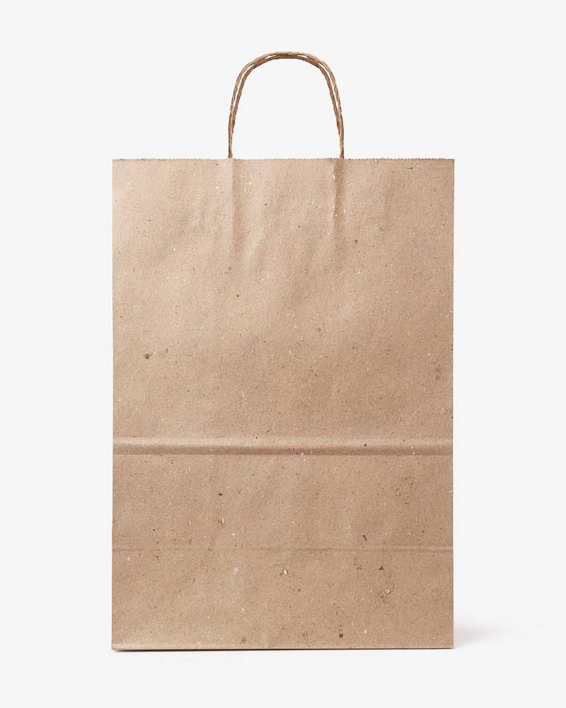 Recyclable Paper Bags
