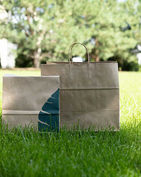 Paper Bags Recycled